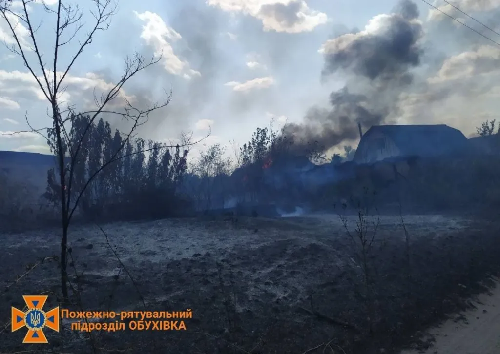 Лісова пожежа у Миколаївці залишила людей без домівок
