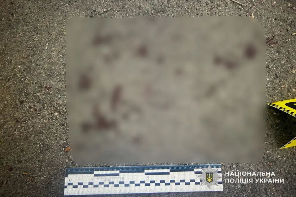 На Криворіжжі затримали чоловіка, підозрюваного у жорстокому вбивстві