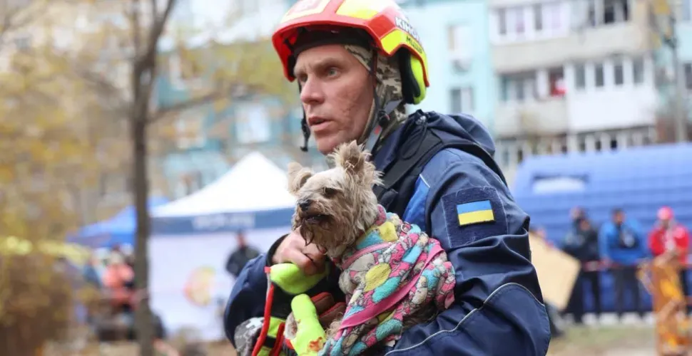 У Дніпрі рятувальники врятували собаку, що потрапила під завали У Дніпрі рятувальники врятували собаку, що потрапила під завали