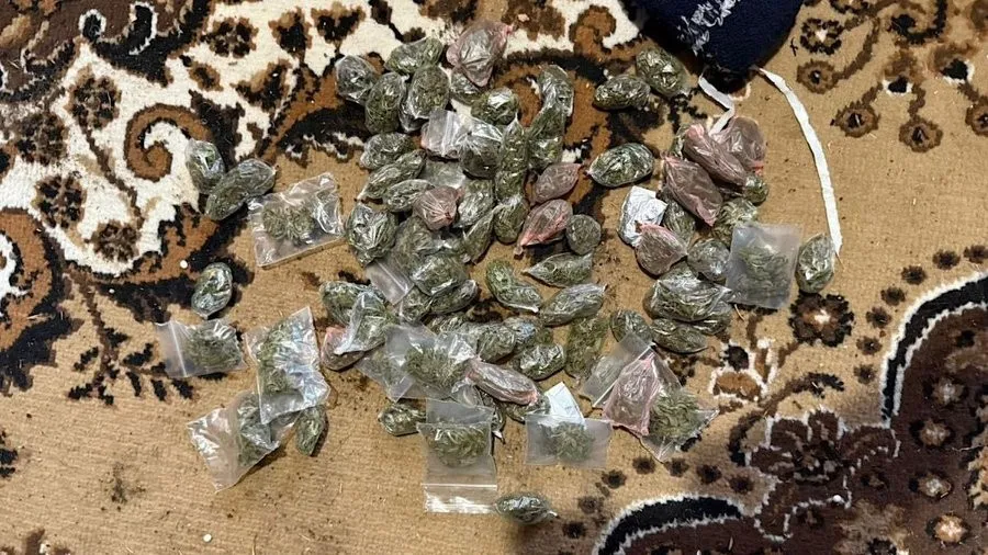На Дніпропетровщині передадуть до суду справу чоловіка, у якого знайшли понад сотню пакунків марихуани На Дніпропетровщині передадуть до суду справу чоловіка, у якого знайшли понад сотню пакунків марихуани