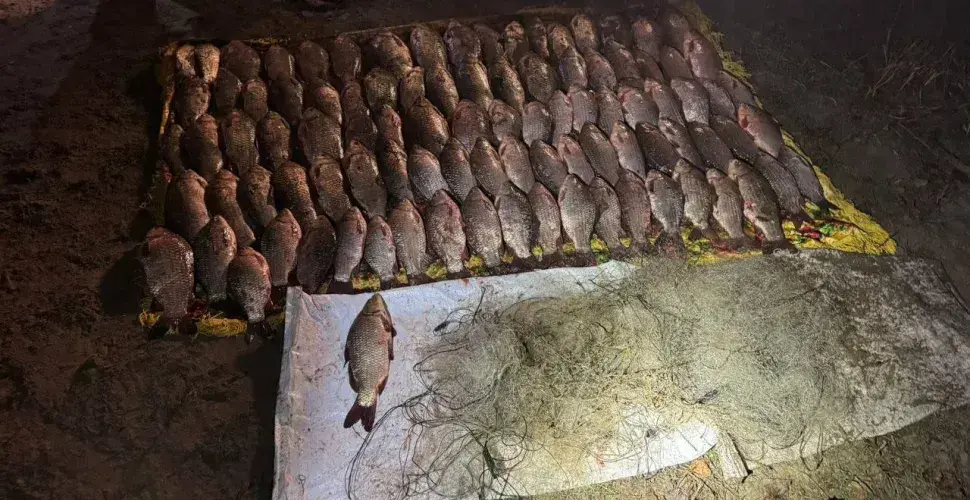Поблизу Кам’янського викрили двох чоловіків, які незаконно виловлювали рибу Поблизу Кам’янського викрили двох чоловіків, які незаконно виловлювали рибу